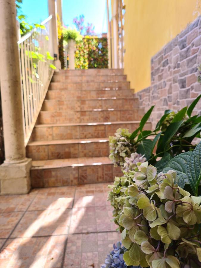 مسينا Domus Lace المظهر الخارجي الصورة